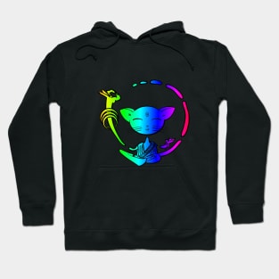 Rainbow Buddhist cat Hoodie